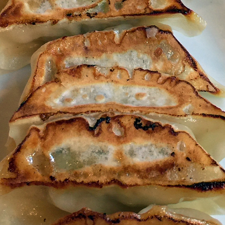 gyoza, Japanese dumplings